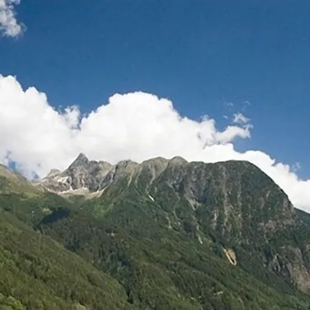 Tonis Ferienheim Apartment *